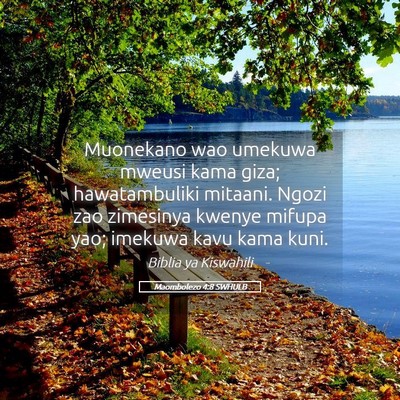 Picture 05 - Maombolezo 4:8 SWHULB - Muonekano wao umekuwa mweusi kama giza; - Bible Verse Picture