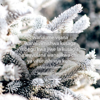 Picture 05 - Maombolezo 5:13 SWHULB - Wanaume vijana wanalizimishwa kusaga mbegu kwa - Bible Verse Picture