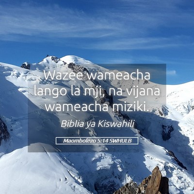 Picture 05 - Maombolezo 5:14 SWHULB - Wazee wameacha lango la mji, na vijana wameacha - Bible Verse Picture