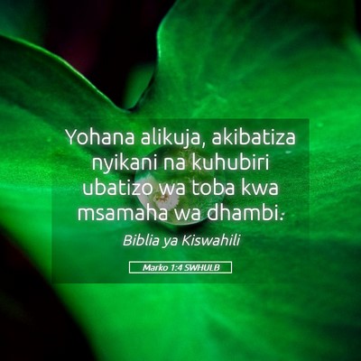 Picture 05 - Marko 1:4 SWHULB - Yohana alikuja, akibatiza nyikani na kuhubiri - Bible Verse Picture
