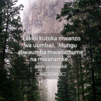 Picture 05 - Marko 10:6 SWHULB - “Lakini kutoka mwanzo wa uumbaji, 'Mungu - Bible Verse Picture