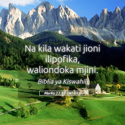 Picture 05 - Marko 11:19 SWHULB - Na kila wakati jioni ilipofika, waliondoka - Bible Verse Picture