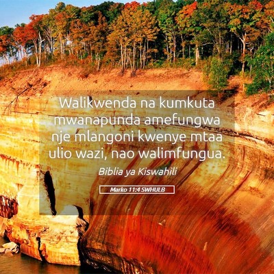 Picture 05 - Marko 11:4 SWHULB - Walikwenda na kumkuta mwanapunda amefungwa nje - Bible Verse Picture