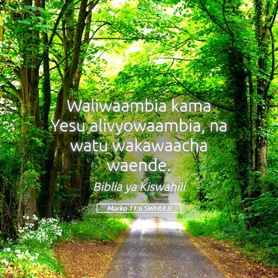 Picture 05 - Marko 11:6 SWHULB - Waliwaambia kama Yesu alivyowaambia, na watu - Bible Verse Picture