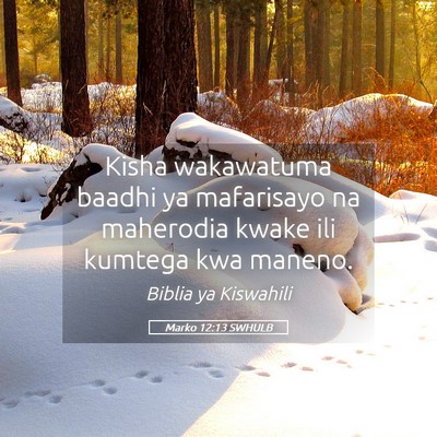 Picture 05 - Marko 12:13 SWHULB - Kisha wakawatuma baadhi ya mafarisayo na - Bible Verse Picture