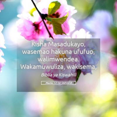 Picture 05 - Marko 12:18 SWHULB - Kisha Masadukayo, wasemao hakuna ufufuo, - Bible Verse Picture