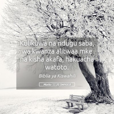 Picture 05 - Marko 12:20 SWHULB - Kulikuwa na ndugu saba, wa kwanza alitwaa mke na - Bible Verse Picture