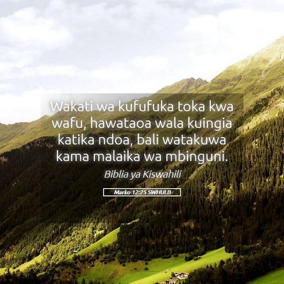Picture 05 - Marko 12:25 SWHULB - Wakati wa kufufuka toka kwa wafu, hawataoa wala - Bible Verse Picture