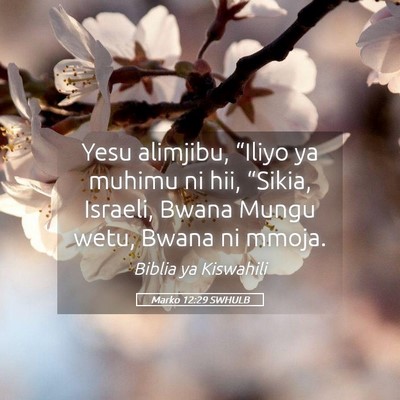 Picture 05 - Marko 12:29 SWHULB - Yesu alimjibu, “Iliyo ya muhimu ni hii, - Bible Verse Picture