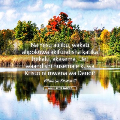 Picture 05 - Marko 12:35 SWHULB - Na Yesu alijibu, wakati alipokuwa akifundisha - Bible Verse Picture