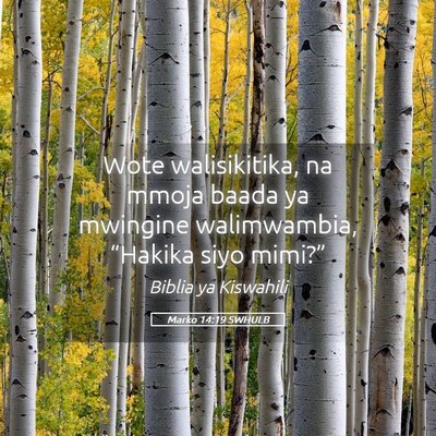 Picture 05 - Marko 14:19 SWHULB - Wote walisikitika, na mmoja baada ya mwingine - Bible Verse Picture