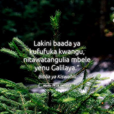 Picture 05 - Marko 14:28 SWHULB - Lakini baada ya kufufuka kwangu, nitawatangulia - Bible Verse Picture