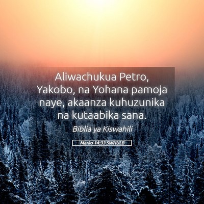 Picture 05 - Marko 14:33 SWHULB - Aliwachukua Petro, Yakobo, na Yohana pamoja naye, - Bible Verse Picture