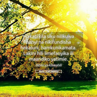Picture 05 - Marko 14:49 SWHULB - Wakati kila siku nilikuwa nanyi na nikifundisha - Bible Verse Picture