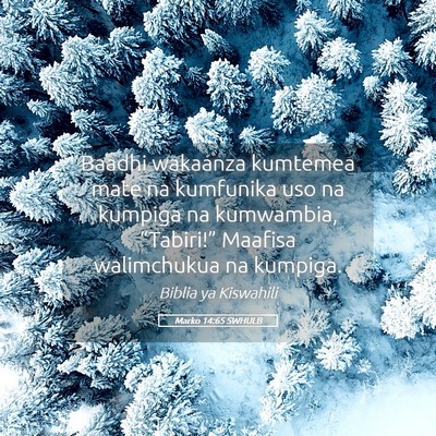 Picture 05 - Marko 14:65 SWHULB - Baadhi wakaanza kumtemea mate na kumfunika uso na - Bible Verse Picture