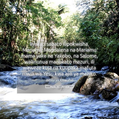 Picture 05 - Marko 16:1 SWHULB - Wakati sabato ilipokwisha, Mariamu Magdalena na - Bible Verse Picture