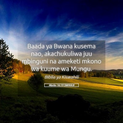 Picture 05 - Marko 16:19 SWHULB - Baada ya Bwana kusema nao, akachukuliwa juu - Bible Verse Picture