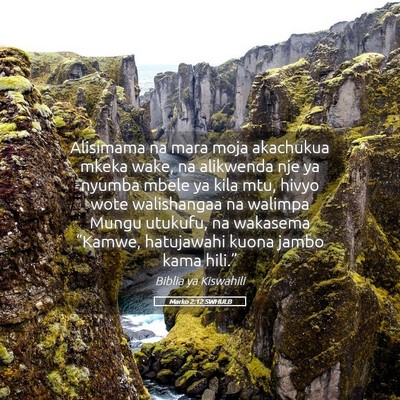 Picture 05 - Marko 2:12 SWHULB - Alisimama na mara moja akachukua mkeka wake, na - Bible Verse Picture