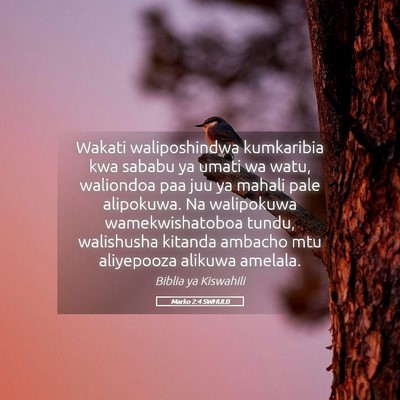 Picture 05 - Marko 2:4 SWHULB - Wakati waliposhindwa kumkaribia kwa sababu ya - Bible Verse Picture