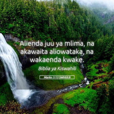 Picture 05 - Marko 3:13 SWHULB - Alienda juu ya mlima, na akawaita aliowataka, na - Bible Verse Picture