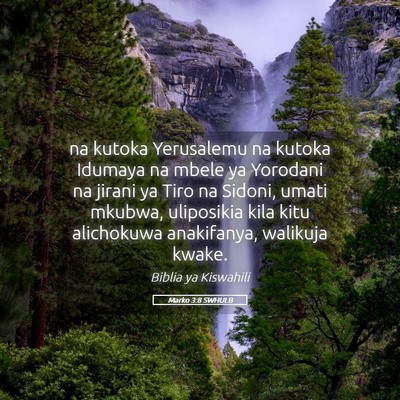 Picture 05 - Marko 3:8 SWHULB - na kutoka Yerusalemu na kutoka Idumaya na mbele - Bible Verse Picture