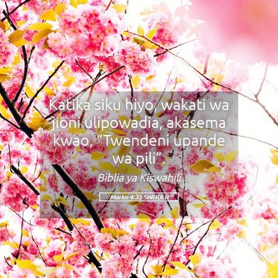 Picture 05 - Marko 4:35 SWHULB - Katika siku hiyo, wakati wa jioni ulipowadia, - Bible Verse Picture