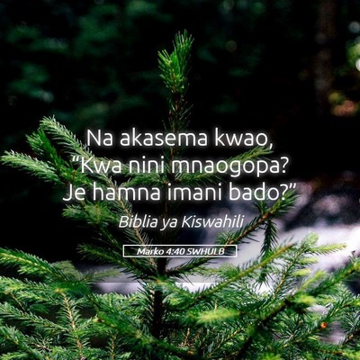 Picture 05 - Marko 4:40 SWHULB - Na akasema kwao, “Kwa nini mnaogopa? Je hamna - Bible Verse Picture
