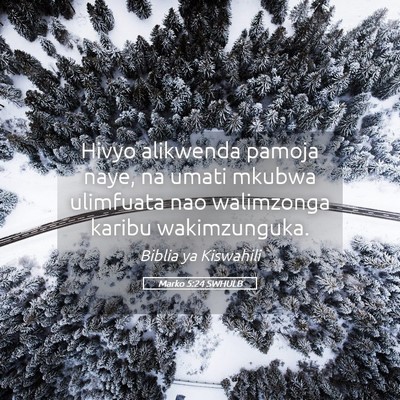 Picture 05 - Marko 5:24 SWHULB - Hivyo alikwenda pamoja naye, na umati mkubwa - Bible Verse Picture