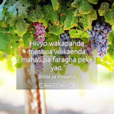 Picture 05 - Marko 6:32 SWHULB - Hivyo wakapanda mashua wakaenda mahali pa faragha - Bible Verse Picture