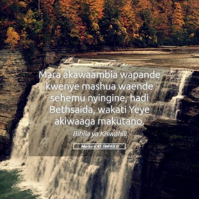 Picture 05 - Marko 6:45 SWHULB - Mara akawaambia wapande kwenye mashua waende - Bible Verse Picture
