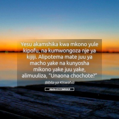 Picture 05 - Marko 8:23 SWHULB - Yesu akamshika kwa mkono yule kipofu, na - Bible Verse Picture