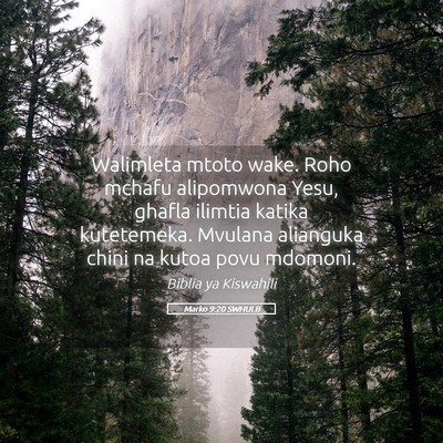 Picture 05 - Marko 9:20 SWHULB - Walimleta mtoto wake. Roho mchafu alipomwona - Bible Verse Picture