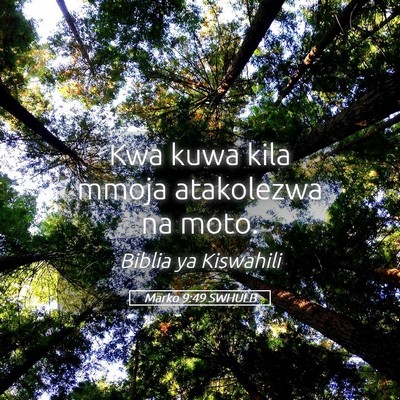 Picture 05 - Marko 9:49 SWHULB - Kwa kuwa kila mmoja atakolezwa na - Bible Verse Picture