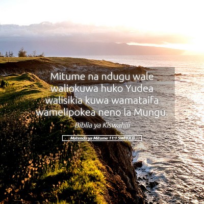 Picture 05 - Matendo ya Mitume 11:1 SWHULB - Mitume na ndugu wale waliokuwa huko Yudea - Bible Verse Picture