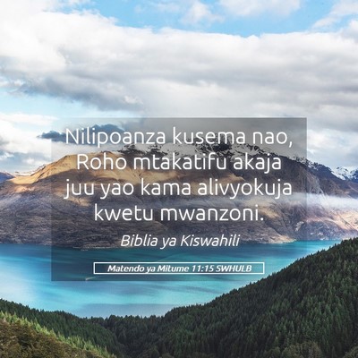 Picture 05 - Matendo ya Mitume 11:15 SWHULB - Nilipoanza kusema nao, Roho mtakatifu akaja juu - Bible Verse Picture