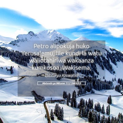 Picture 05 - Matendo ya Mitume 11:2 SWHULB - Petro alipokuja huko Yerusalemu, lile kundi la - Bible Verse Picture