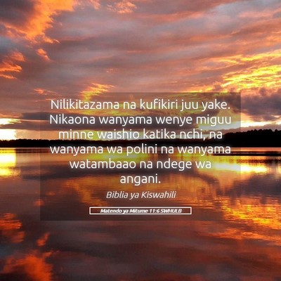 Picture 05 - Matendo ya Mitume 11:6 SWHULB - Nilikitazama na kufikiri juu yake. Nikaona - Bible Verse Picture
