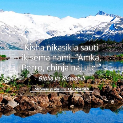 Picture 05 - Matendo ya Mitume 11:7 SWHULB - Kisha nikasikia sauti ikisema nami, “Amka, - Bible Verse Picture