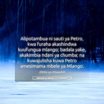 Picture 05 - Matendo ya Mitume 12:14 SWHULB - Alipotambua ni sauti ya Petro, kwa furaha - Bible Verse Picture