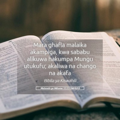 Picture 05 - Matendo ya Mitume 12:23 SWHULB - Mara ghafla malaika akampiga, kwa sababu alikuwa - Bible Verse Picture