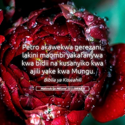 Picture 05 - Matendo ya Mitume 12:5 SWHULB - Petro akawekwa gerezani, lakini maombi yakafanywa - Bible Verse Picture