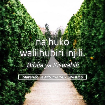 Picture 05 - Matendo ya Mitume 14:7 SWHULB - na huko waliihubiri - Bible Verse Picture