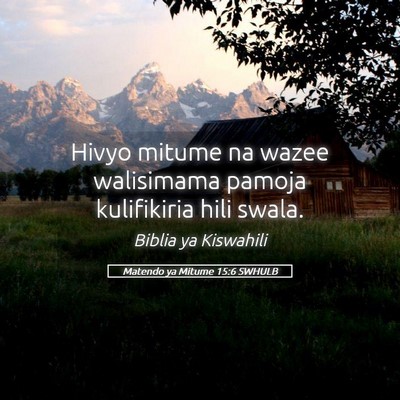 Picture 05 - Matendo ya Mitume 15:6 SWHULB - Hivyo mitume na wazee walisimama pamoja - Bible Verse Picture