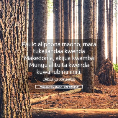 Picture 05 - Matendo ya Mitume 16:10 SWHULB - Paulo alipoona maono, mara tukajiandaa kwenda - Bible Verse Picture