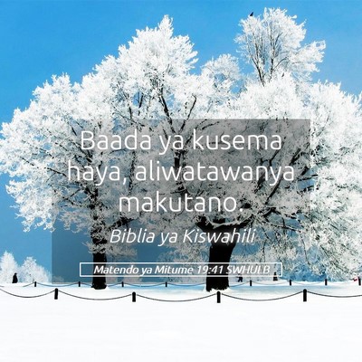 Picture 05 - Matendo ya Mitume 19:41 SWHULB - Baada ya kusema haya, aliwatawanya - Bible Verse Picture