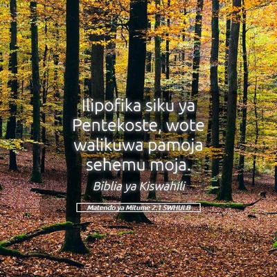Picture 05 - Matendo ya Mitume 2:1 SWHULB - Ilipofika siku ya Pentekoste, wote walikuwa - Bible Verse Picture
