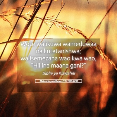 Picture 05 - Matendo ya Mitume 2:12 SWHULB - Wote walikuwa wameduwaa na kutatanishwa; - Bible Verse Picture