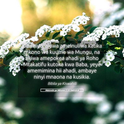 Picture 05 - Matendo ya Mitume 2:33 SWHULB - Kwa hiyo, akiwa ameinuliwa katika mkono wa kuume - Bible Verse Picture