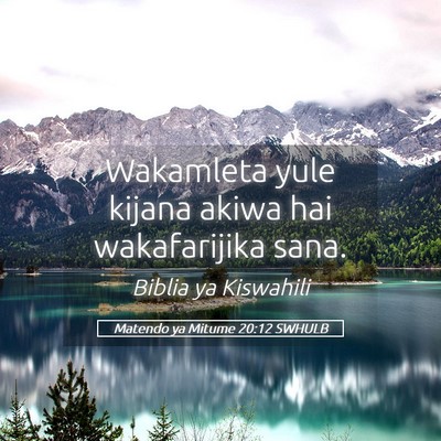 Picture 05 - Matendo ya Mitume 20:12 SWHULB - Wakamleta yule kijana akiwa hai wakafarijika - Bible Verse Picture