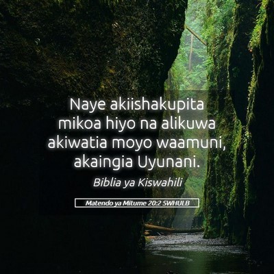 Picture 05 - Matendo ya Mitume 20:2 SWHULB - Naye akiishakupita mikoa hiyo na alikuwa akiwatia - Bible Verse Picture